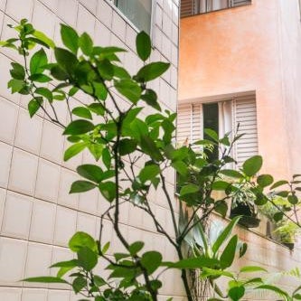 Hotel Residenza - 400m do inicio da Av Paulista e Metrô Paraiso