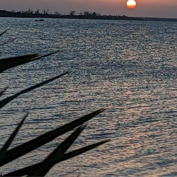 Belizima Eco Resort Thumbnail