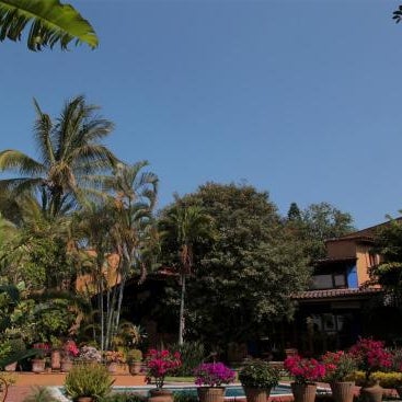 Orchidelirium Casa Hotel & Salud Estética Thumbnail