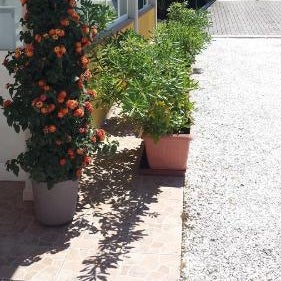 Casa Versilia Hotel
