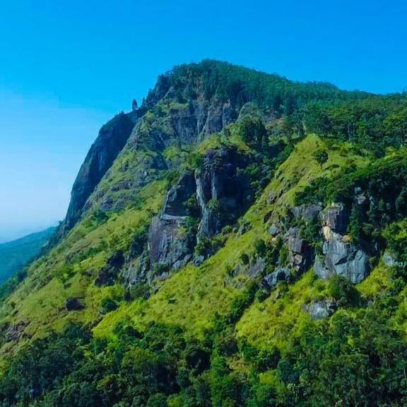 Ella Rock Heaven Thumbnail