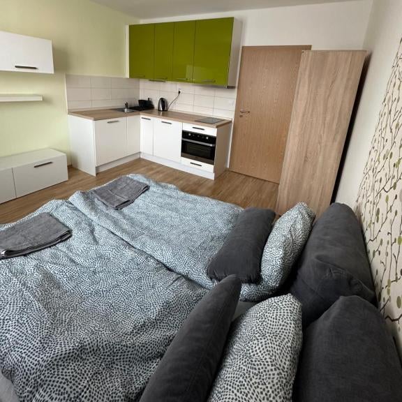 Private apartment 1km from center Thumbnail