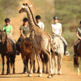 Pakamisa Private Game Reserve