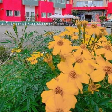 Shi Bi Hotel