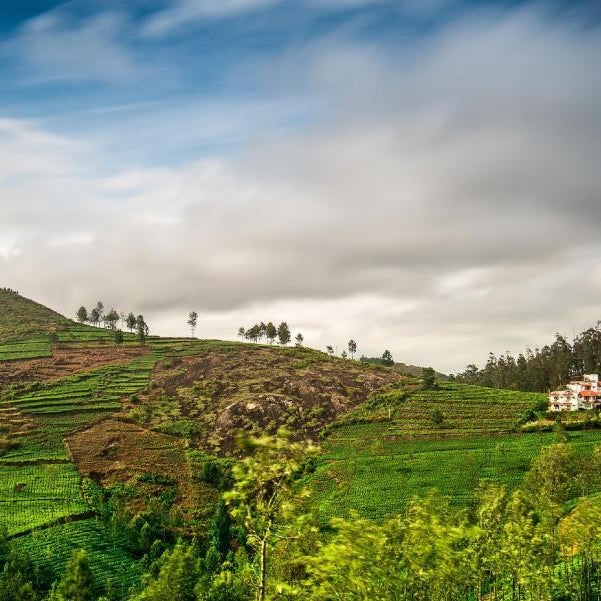 Green Nest Resort Kotagiri