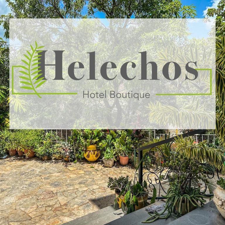 Helechos Hotel Thumbnail