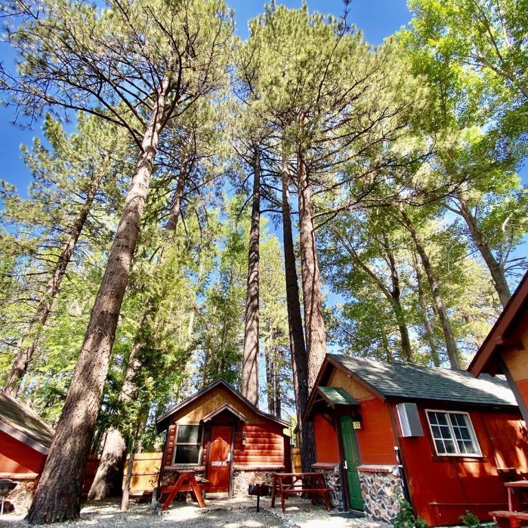 The Village Cabins Thumbnail