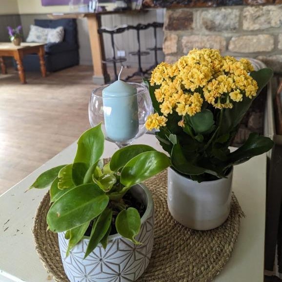 The Willoughby Thumbnail