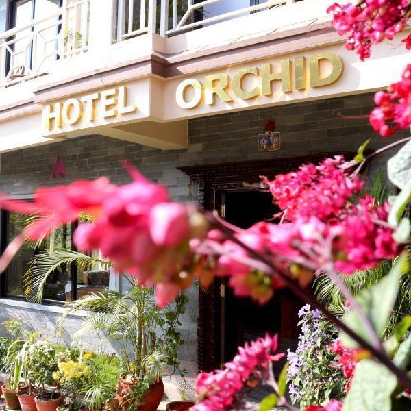 Hotel Orchid