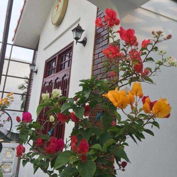 SEVEN HOMESTAY(HUE) Thumbnail