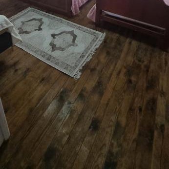 Lola's Rooms Thumbnail