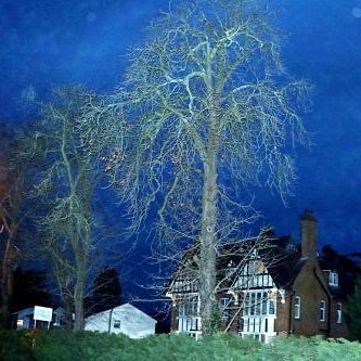 Gatwick Inn Thumbnail