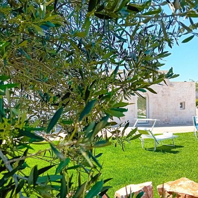 Pietra Di Puglia
