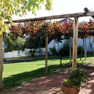 Desert Rose Guesthouse