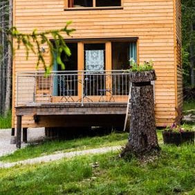 Forest Chalet Resort FELIZITAS