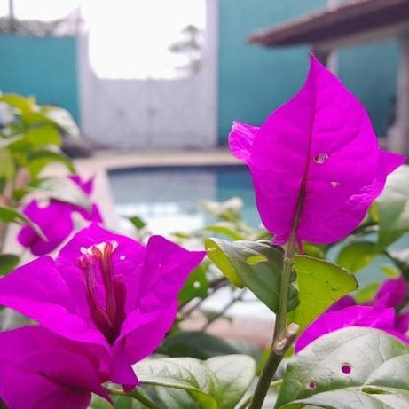 Naemy Villas Suite Thumbnail