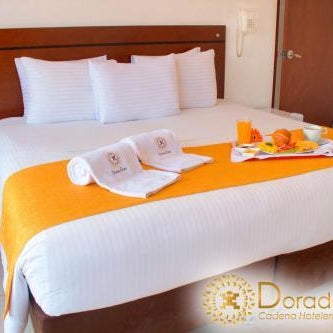 Hotel Dorado Gold Thumbnail