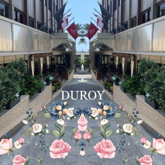 Duroy Hotel By Beverly Thumbnail