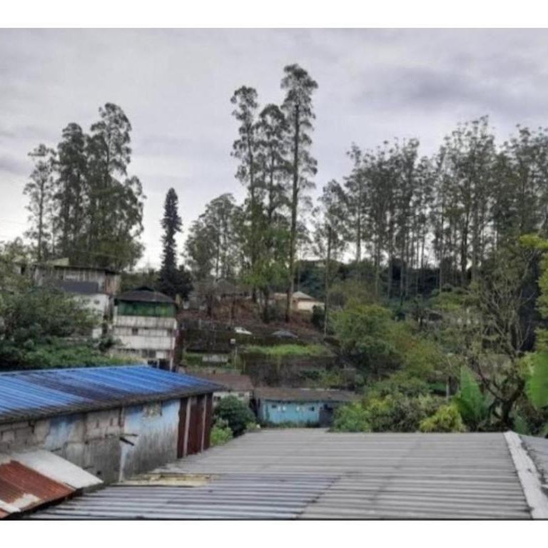 Birdwing Cottage, Munnar Thumbnail