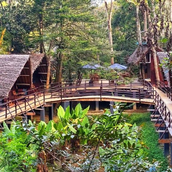 Longoza Ecolodge Thumbnail