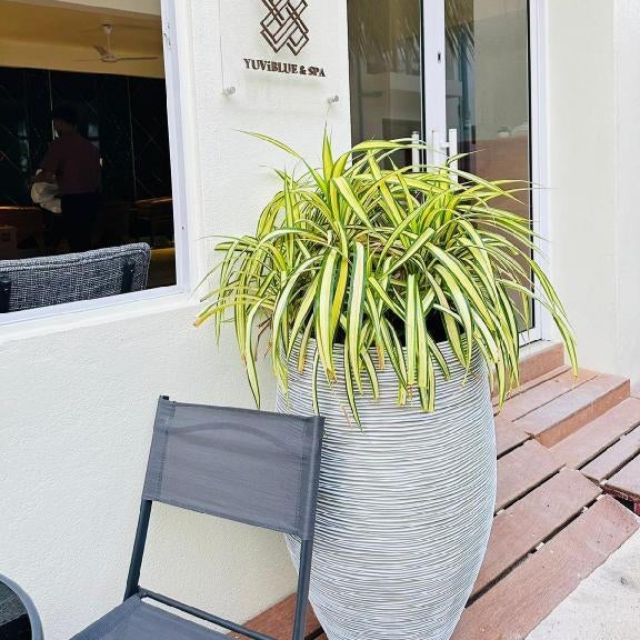 YUVi Blue Maldives & Spa Thumbnail