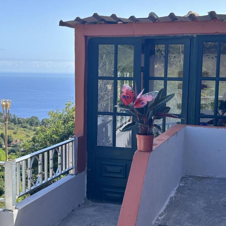 Luci's House Thumbnail