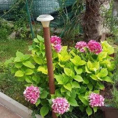 Rooms & Apartments Semic Thumbnail