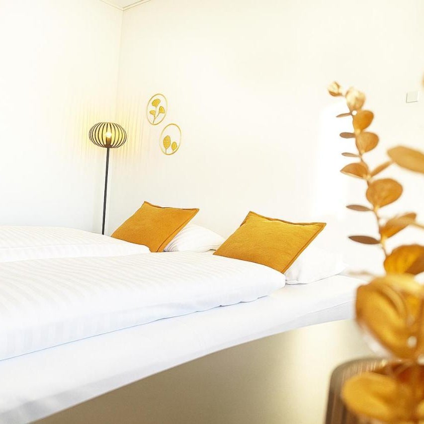 Hotel Svanegården
