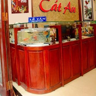 Cat An Guesthouse