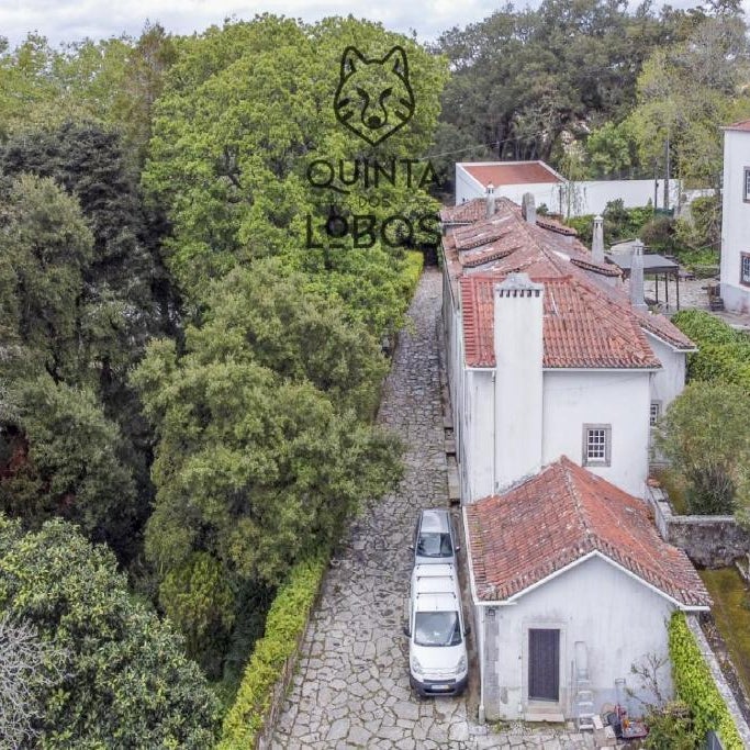 Quinta dos Lobos Boutique Hotel - Nature Experience Thumbnail
