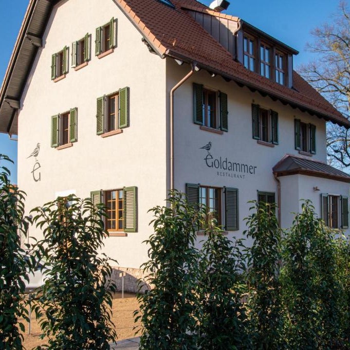 Goldammer Aschaffenburg