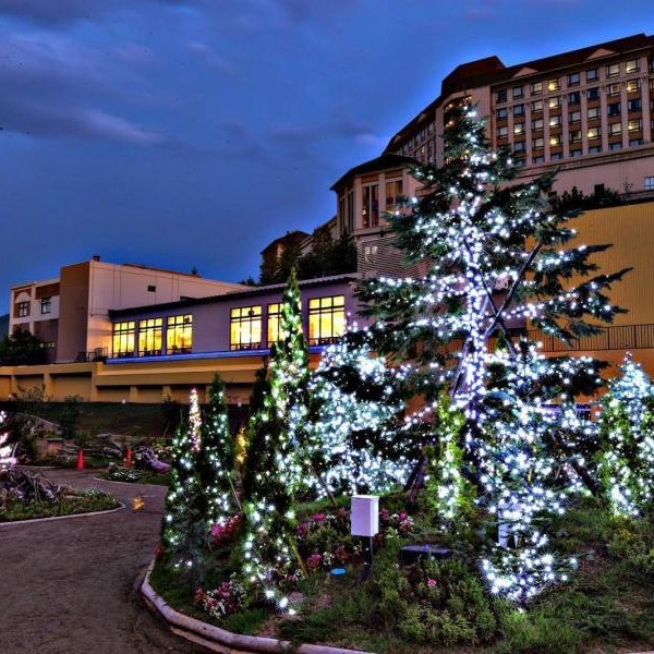 Hotel Morinokaze Oshuku