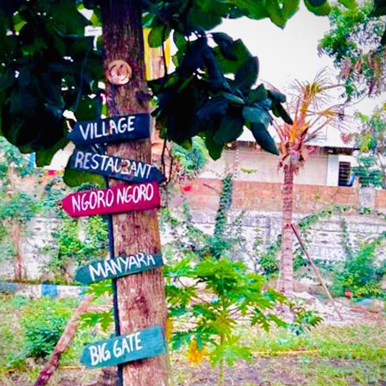 The Tropinest bungalow Thumbnail