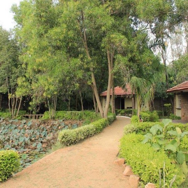 Tiger Trails Resort