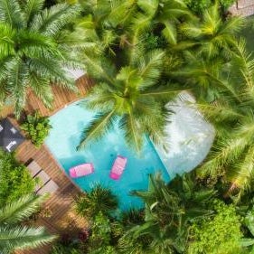 Monkey Lodge Panama