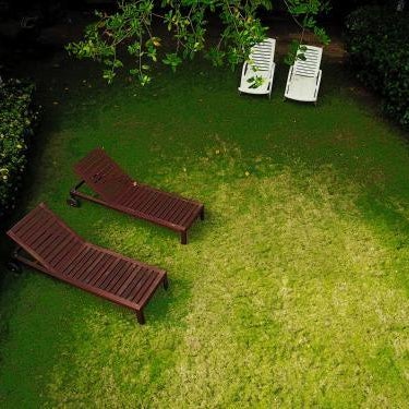 Manglar Lodge