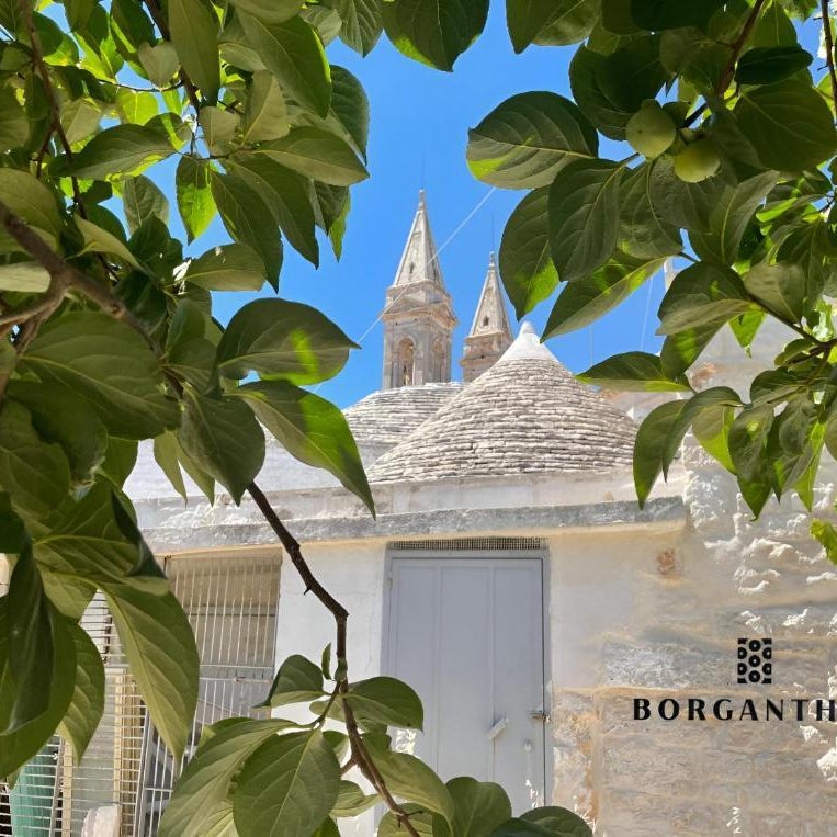 BORGANTHIA - IL CHIOSTRO DEI MEDICI