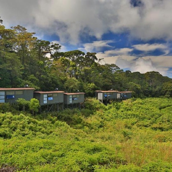 The Rainforest Ecolodge