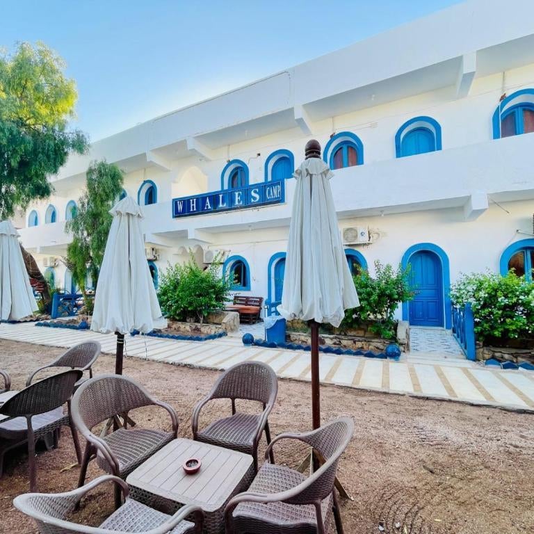 whales camp dahab Thumbnail