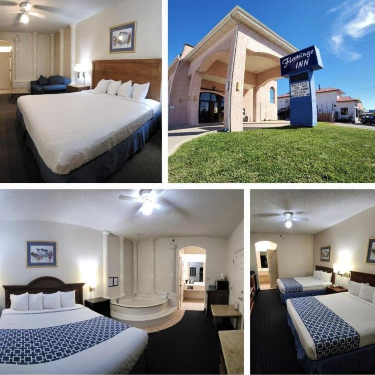 The Flamingo - South Padre Island Thumbnail