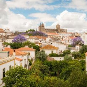 Evora Olive Hotel Thumbnail
