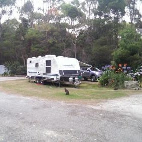 Crayfish Creek Van & Cabin Park