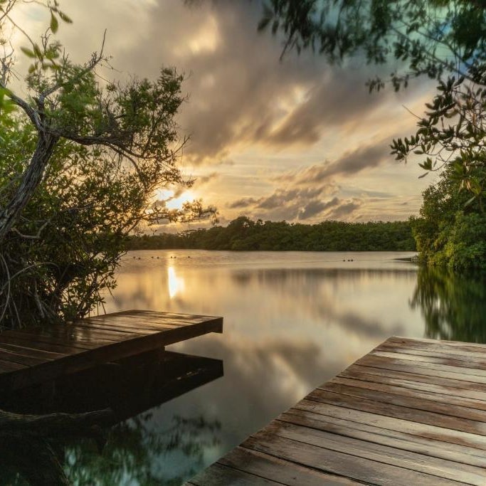 Yaxchen Tulum Cabañas & Cenote Thumbnail