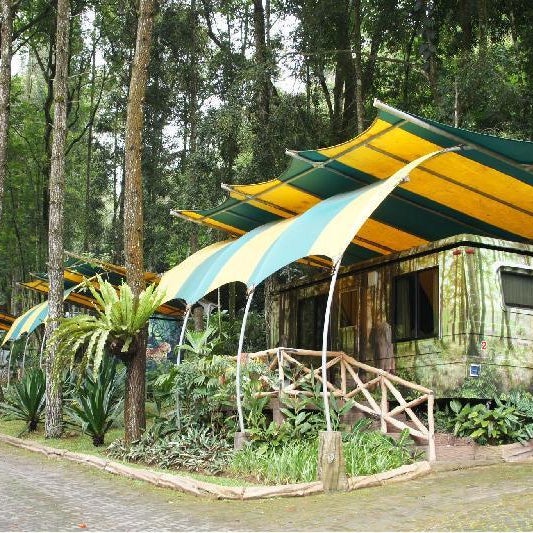 Safari Resort