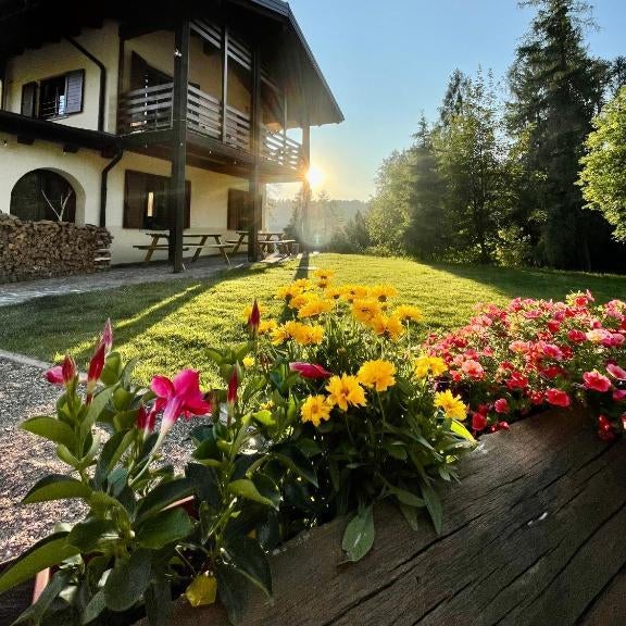Forest Camp Val di Gresta