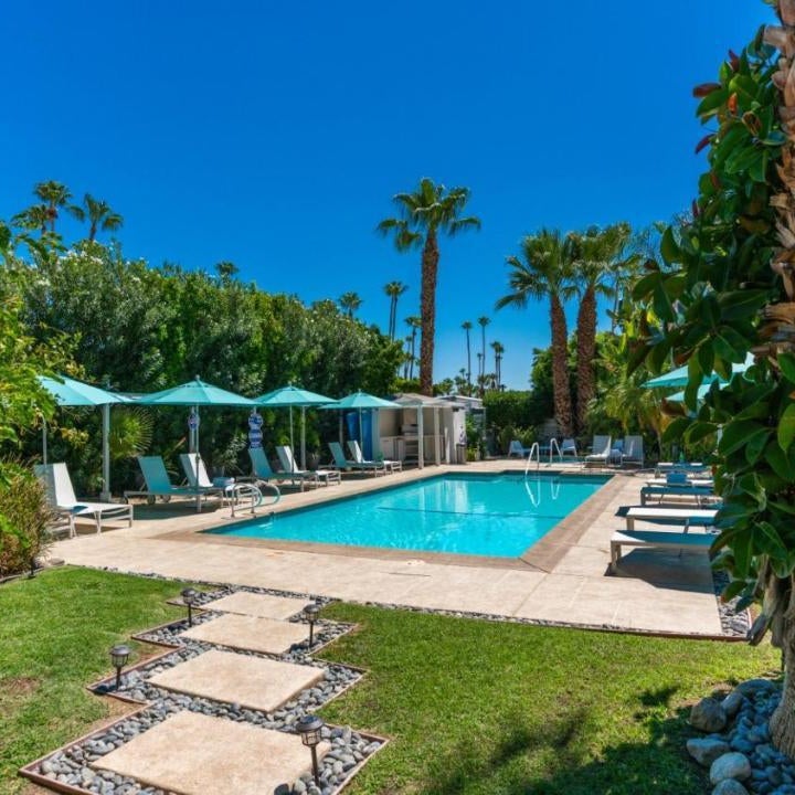 BelleVue Oasis - Adults Only Thumbnail