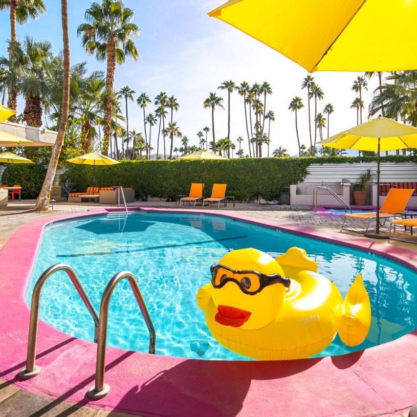 El Noa Noa - 21 and Over Thumbnail