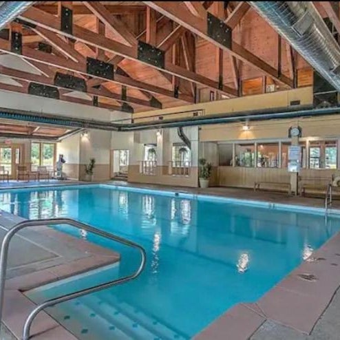 Sun & Snow Chalet Breckenridge, a dog lovers dream! Thumbnail