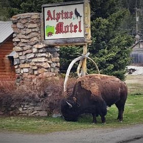 Alpine Motel of Cooke City Thumbnail