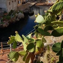 La Caletta
